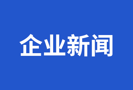 2021年執(zhí)行年報(bào)